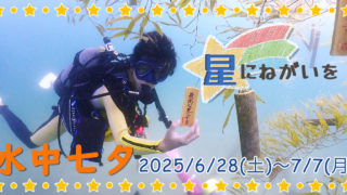 【~7/7】黄金崎ダイブセンターからイベントのお知らせ