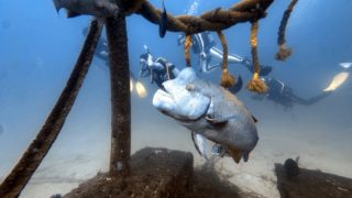 2025/08 DLD@波左間