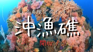 【~2/28】土肥DS・冬季限定ポイント開放