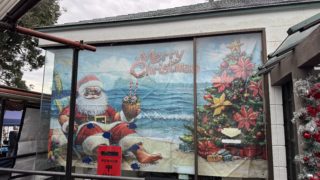 2025/12 DLD@伊豆海洋公園