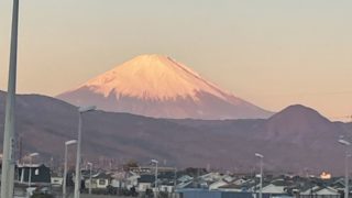 2026/01 DLD@江之浦