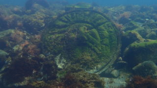 2026/03 DLD@獅子浜