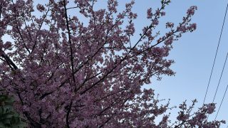 2025/03 IDC学科3日目