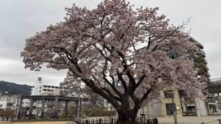 2025/03 IDC学科4日目