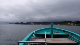 2025/05 DLD@波左間