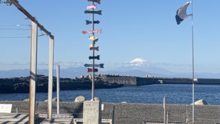 2026/01 DLD@城ヶ島