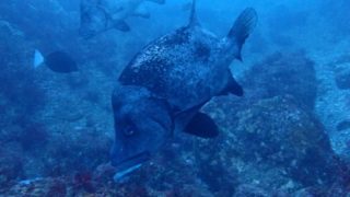 2026/03 DLD@西川名