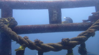 2025/06 SP@波左間