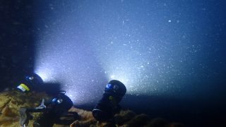 2024/09 AOW@大瀬崎