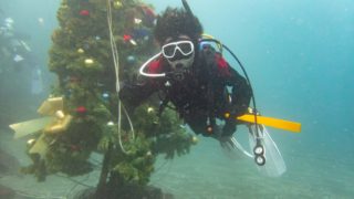 2025/12 AOW@大瀬崎