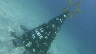 2024/12 IDC@伊豆海洋公園