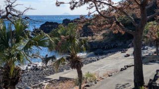 2026/01 DLD@伊豆海洋公園